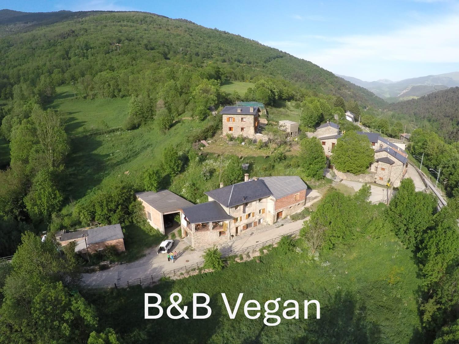 Cal Calau Vega Bed & Breakfast Planoles Luaran gambar